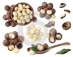 Many macadamia nuts isolated on white, collage