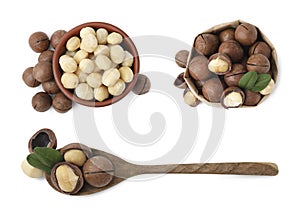 Many macadamia nuts isolated on white, collage