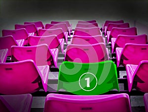 Many magenta and green 1st seat, winner concept.