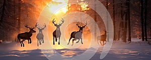 Many magical deer running in the snowy winter forest in a clearing among the trees in the sunset.