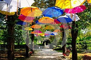 Many, many colorful umbrellas to the delight of all