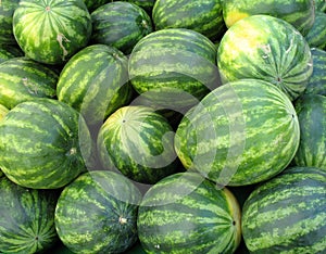 Viele Melonen 