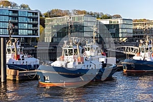 Many modern powerful tow ships service team mored in row at Hamburg Elbe harbour at evening sunset day time. Support