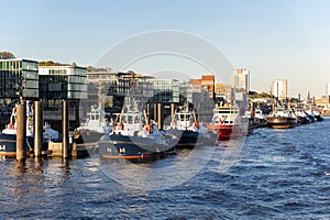 Many modern powerful tow ships service team mored in row at Hamburg Elbe harbour at evening sunset day time. Support