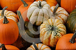 Many multi colored decorative pumpkin