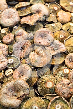 Many mushrooms at a market stall