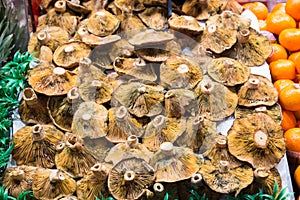 Many mushrooms at a market stall