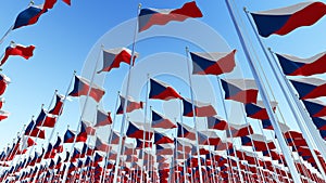 Many National flags of Czech Republic
