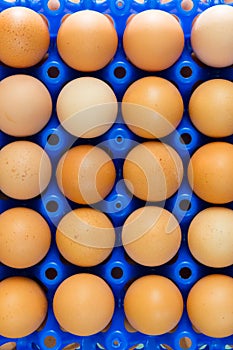 Many natural brown eggs in blue plastic container