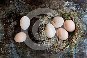 Many natural easter eggs in a birds nest, happy easter concept