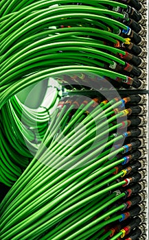Many network wires connected to the server