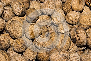 Many nuts in a basket
