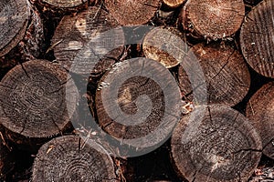 Many of old dry brown woodblocks in a stack