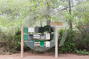 Many old letter boxes