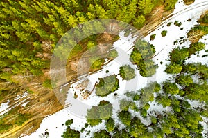 Many old roads in the forest appeared from under the snow in spring