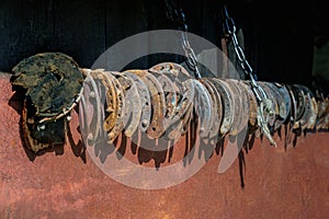 Many old and rusty horseshoes