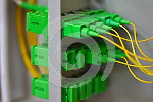 Many optical patch cords in the telecommunications cabinet