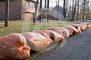 Many orange garbage bags at curb