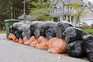 Many orange and green garbage bags at curb