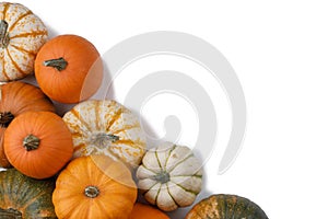 Many orange pumpkins