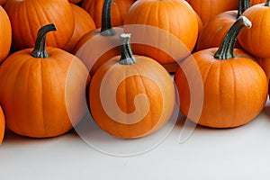 Many orange pumpkins on white