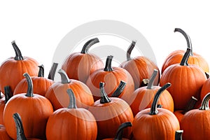 Many orange pumpkins on white