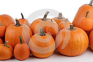 Many orange pumpkins on white