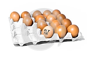 Many orange spotted brown chicken eggs in carton open box container on white backdrop. One egg with black drawn letters `eat me`