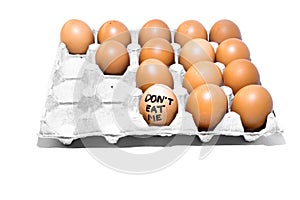 Many orange spotted brown chicken eggs in carton open box container on white background. One egg with black drawn inscription
