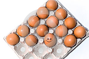 Many orange spotted brown chicken eggs in carton open box container on white background. View from the top. One egg