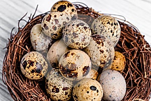 Many organic fragility quail eggs with brown spots in the nest of twigs. Healthy food for diet. Close-up