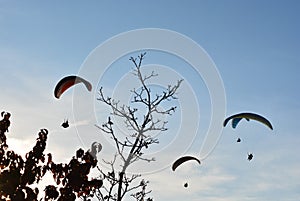 Many paragliders simultaneously is flying in a clear blue sky