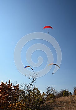 Many paragliders simultaneously is flying in a clear blue sky