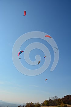 Many paragliders simultaneously is flying in a clear blue sky