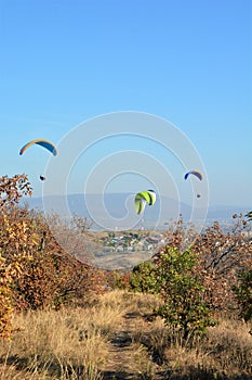 Many paragliders simultaneously is flying in a clear blue sky