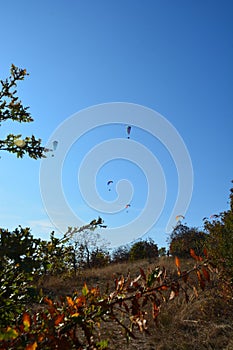 Many paragliders simultaneously is flying in a clear blue sky