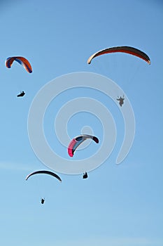 Many paragliders simultaneously is flying in a clear blue sky