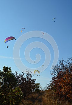 Many paragliders simultaneously is flying in a clear blue sky