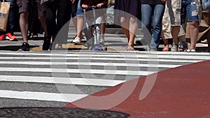 Many People Crossing the Street. Close Up of Pedestrian Legs