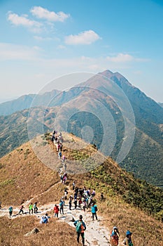 Many people hiking on the path to the famos location, Sunset Peak, Lantau Island, Hong Kong