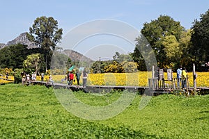 Many people travel in beautiful flower fields outdoors. Happy Holiday concept.