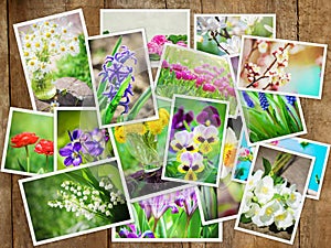 Many pictures of flowers. Collage.