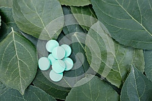 many pills on a green leaf top view  homeopathic remedies from natural
