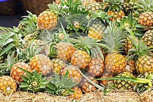 Many pineapple piles for sale