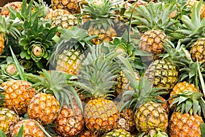 Many pineapple piles for sale