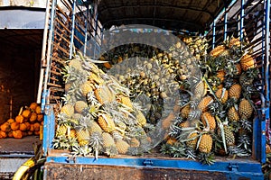 Many pineapples in truck