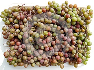 Many pink ripe grapes close-up on a white background photo