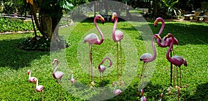 Many pink small and big flamingo statue on grass lawn or field with tree background at park.