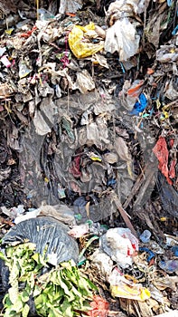 Many of plactic garbages cause pollution