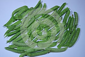 Many pods of green young peas are scattered on white table